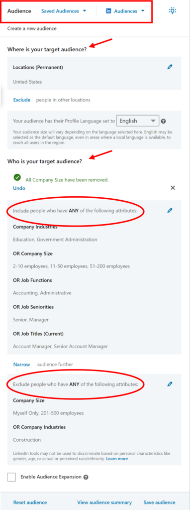 LinkedIn Campaign Manager - Audience tab